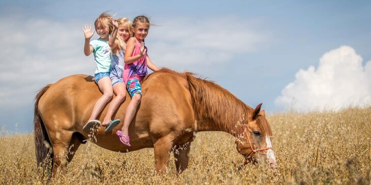 Vybavený karavan na ranči: pobyt mezi zvířaty s možností vyjížďky na koních