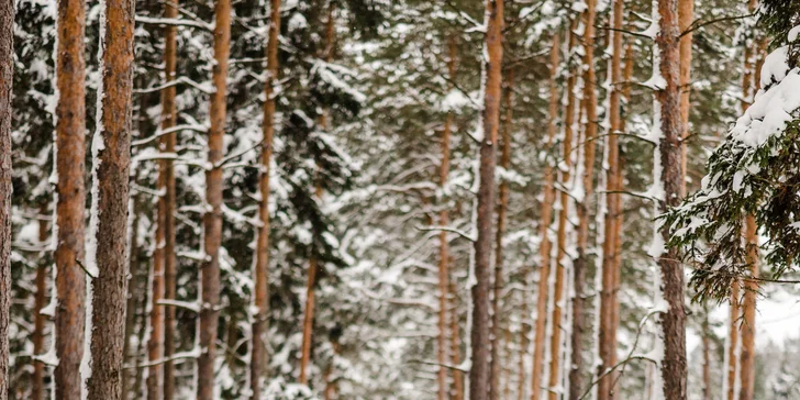 Profesionální exteriérové fotografování pro rodiny či páry