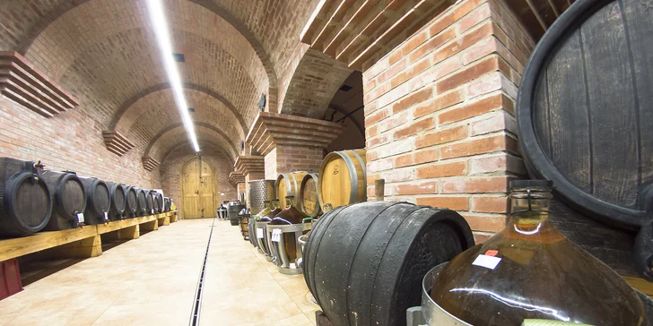 Zážitkový vinařský pobyt na Slovácku: famózní víno, degustace i wellness
