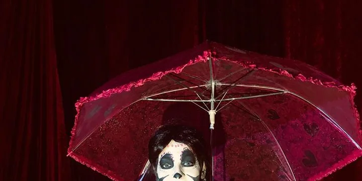 Cirkus Ohana: artistická show na motivy pohádky Coco pro celou rodinu