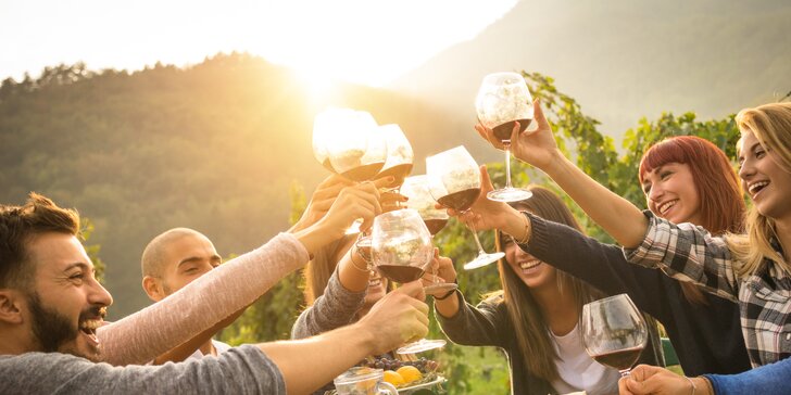Vinařský pobyt na Slovácku pro dva: famózní víno, degustace i wellness