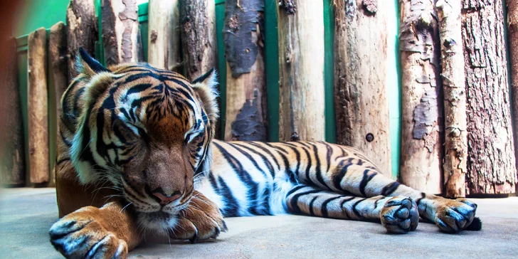 Zima nebo jaro u Prahy: polopenze, privátní sauna a 5 km do pražské zoo