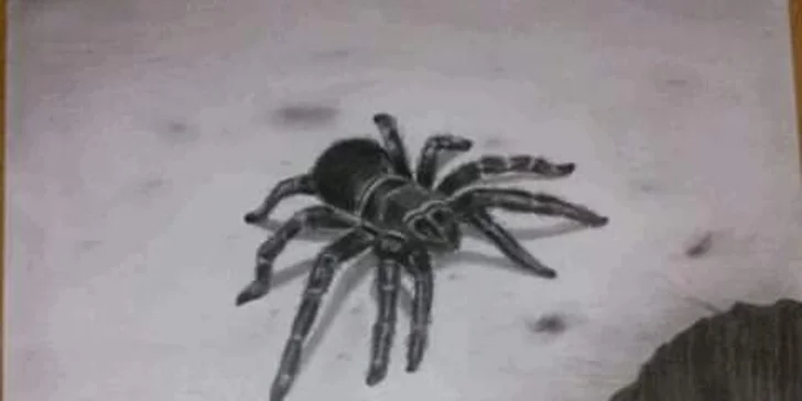 Intenzivní jednodenní kurzy kreslení dle výběru pro začátečníky i pokročilé