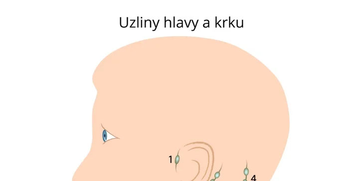 Fyzioterapie či lymfatická masáž pro úlevu vašeho těla od fyzioterapeuta