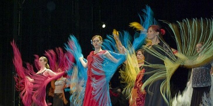 1500 Kč za ranní kurz tance flamenka pro začátečník v hodnotě 2500 Kč