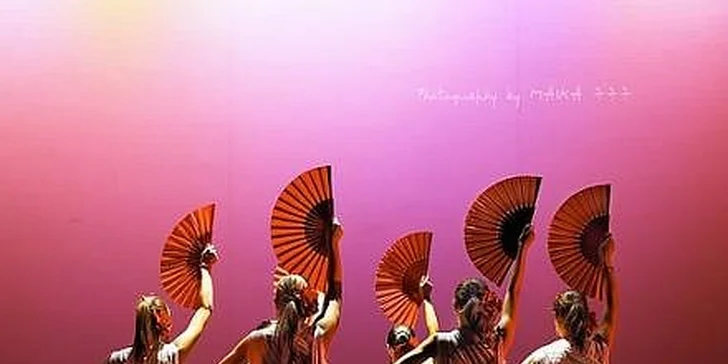 1490 Kč za ranní kurz tance Flamenka po dobu 2,5 měsíce v hodnotě 2500 Kč