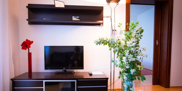 K dispozici budete mít Wi-Fi připojením a satelitní TV. 