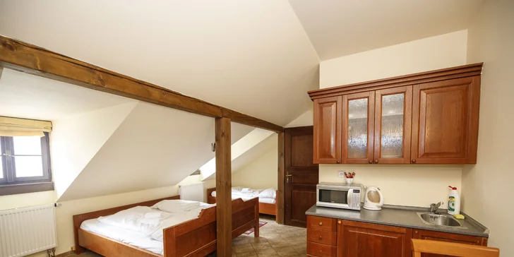 Apartmán pro 5 osob má kuchyňský kout. 