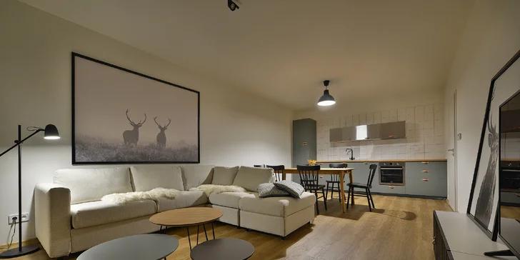Nechybí LCD televize a připojení k Wi-Fi.