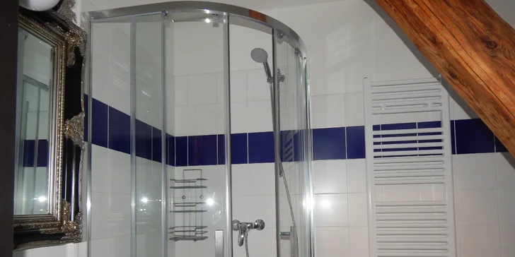 Každému pokoji nechybí samostatná koupelna se sprchou a WC.