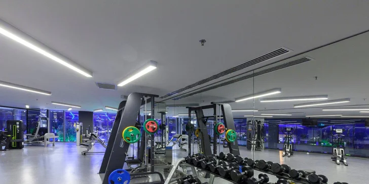 Pokud máte rádi aktivní relax, čeká na vás moderní fitness a pro soutěživé typy třeba kulečník nebo šipky.
