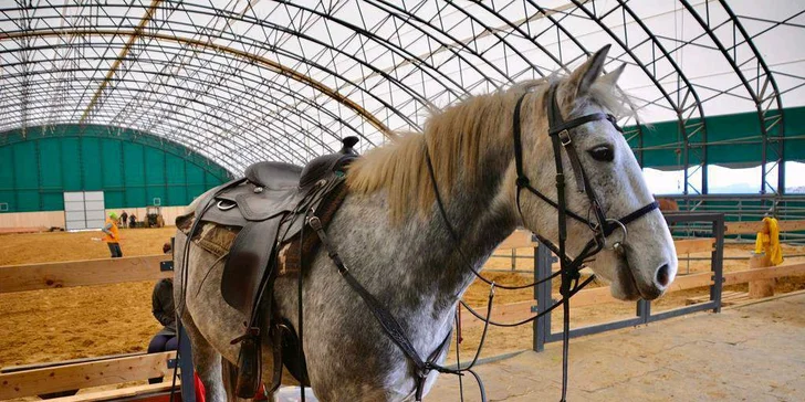 U farmářského pobytu si vyzkoušíte také běžné pracovní činnosti na ranči – třeba práci u koní, jejich ošetřování a krmení, a také úklid stájí či sekání dřeva. 