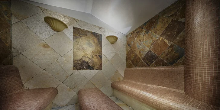 V Saunadorfe je tepidárium, soľná sauna, bylinná sauna, turecký parný kúpeľ, laconium, fínska sauna a ruská sauna.