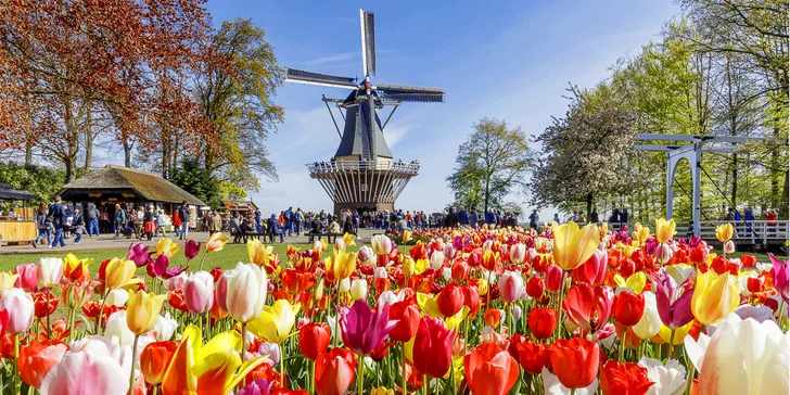 Do Holandska z Moravy: rozkvetlý park Keukenhof, květinové korzo i návštěva Amsterdamu