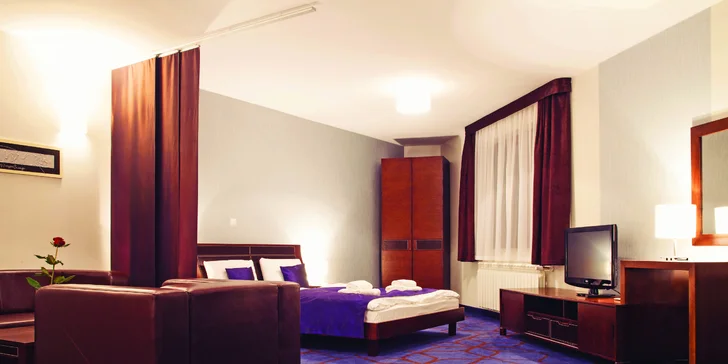 K dispozícii je izba Standard (18 m²) a priestrannejší Suite (22 m²).