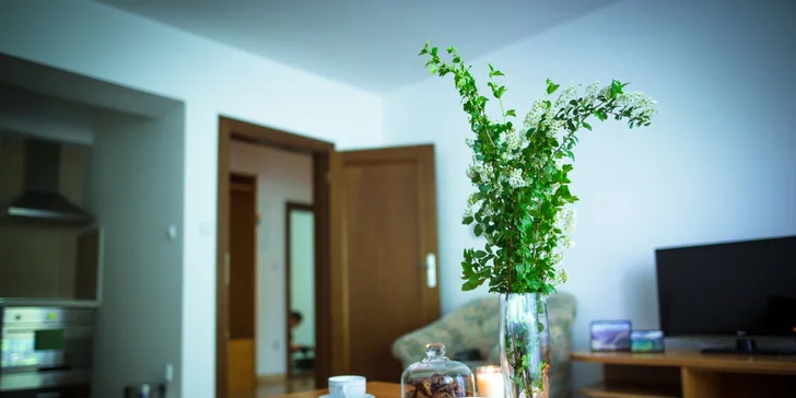 Apartmány se nachází v přízemí a mají i balkon.  