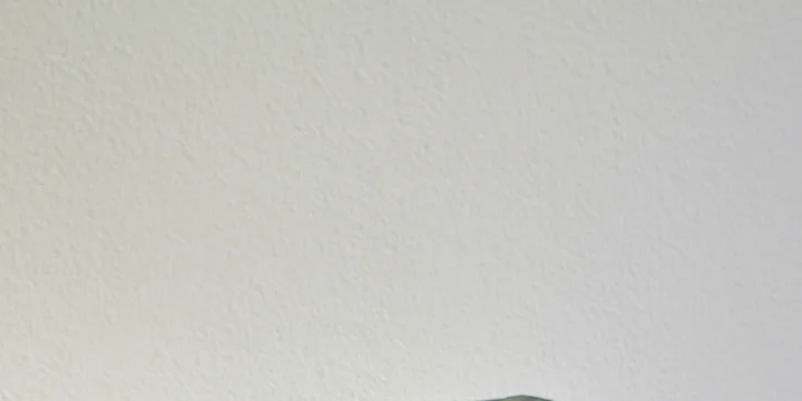 Značka Mountain Gorilla dováží z východní Afriky kávu, kakaové boby a další produkty, které nakupuje za fair trade ceny.