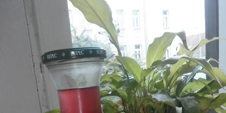 K pití dostanete domácí limonádu - vývar z jahod.