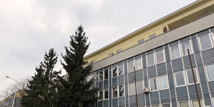Ordinaci najdete ve 2. patře Polikliniky DAM. 