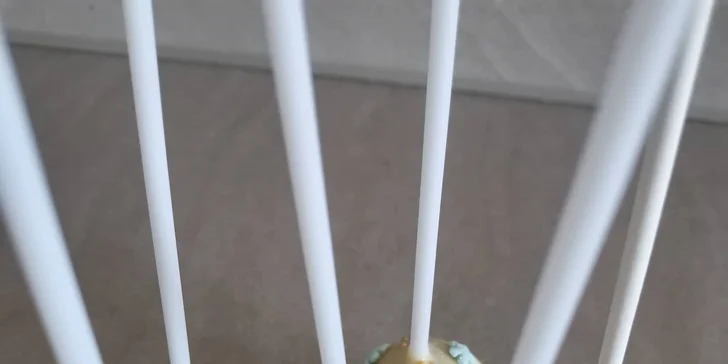 Elíza si pro vás připravila také 8 jedinečných perníkových cakepops.
