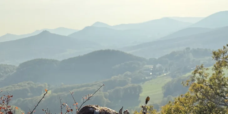 Rezervaci si udělejte telefonicky předem.