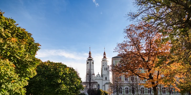 Kousek od ubytování najdete i velký městský park.