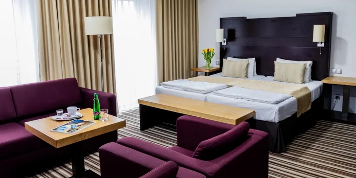 Hotel stojí u Borského parku, cca 3 km od centra.