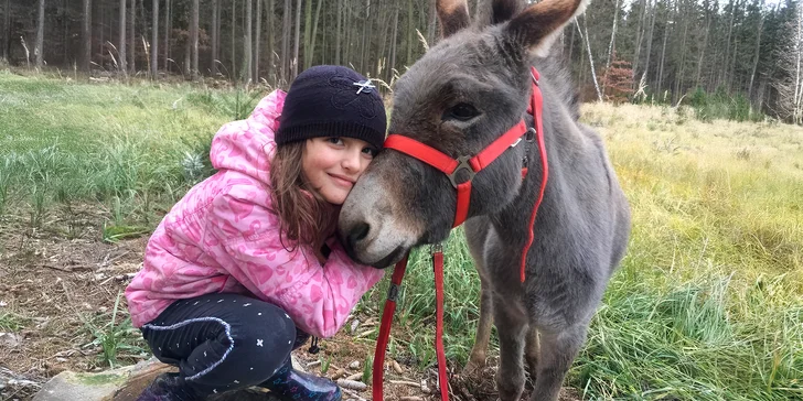 Během procházky je můžete i nakrmit nebo se s nimi vyfotit.