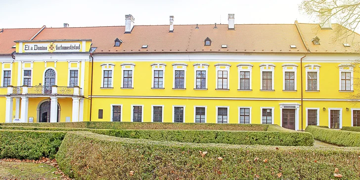 Zámecká růže