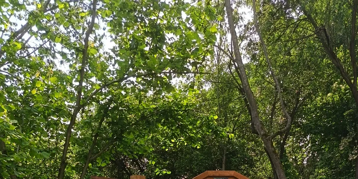 Projděte si okolí maringotky, je tu lesní stezka a další kouzelná zákoutí. 