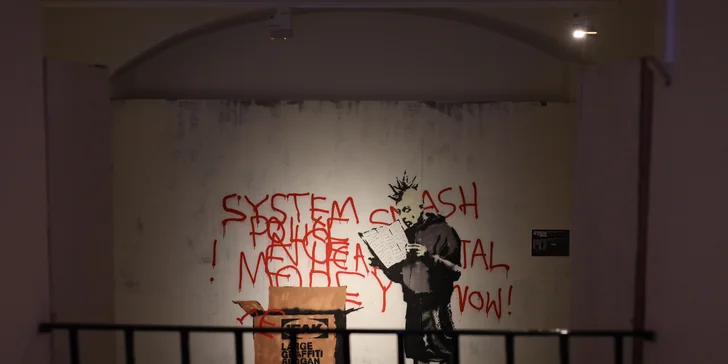 Výstava představuje nástěnné malby, unikátní díla od soukromých sběratelů, grafity, plátna, projekce uměleckých děl, videoinstalace a další. 