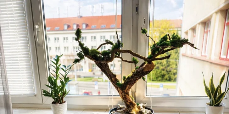  Terapie je ideální volbou pro každého, kdo hledá chytrou a přirozenou cestu, jak tělu i mysli ulevit od nahromaděného tlaku.

