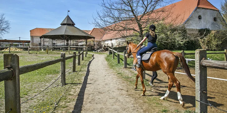 Se správnou variantou se dokonce povozíte v jejich sedle. 