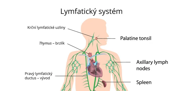Fyzioterapie či lymfatická masáž pro úlevu vašeho těla od fyzioterapeuta
