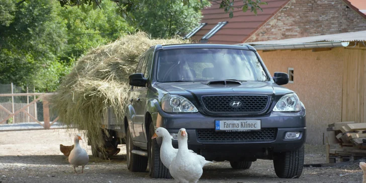 Na den farmářem: práce se zvířaty na den či dva pro dospělé i dítě