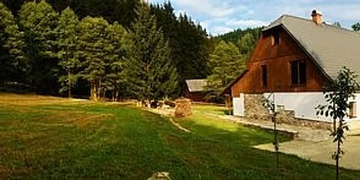 5900 Kč za týden pro 4 os. na  v luxusních apartmánech v srdci Jeseníků