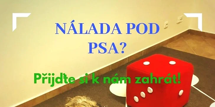 Živá hra: Do práce a z práce až pro 6 osob