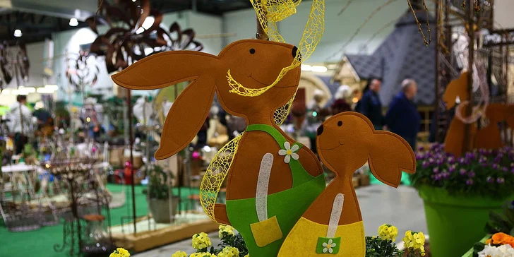 Drážďany: výstava orchidejí a prohlídka města nebo možnost nákupů