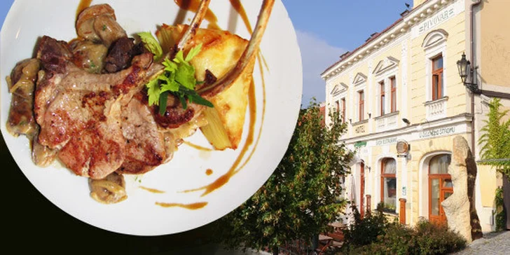 1 789 Kč za zimní romantický víkend pro DVA v hotelu U Zeleného stromu***+ v Nepomuku. Snídaně, tříchodová večeře a pobyt v bio stylu se slevou 52 %!
