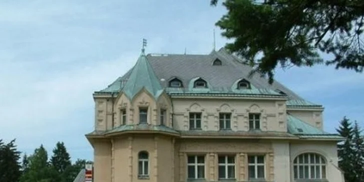 1160 Kč za pobyt s polopenzí pro 2 os. na 2 noci v Kramářově vile