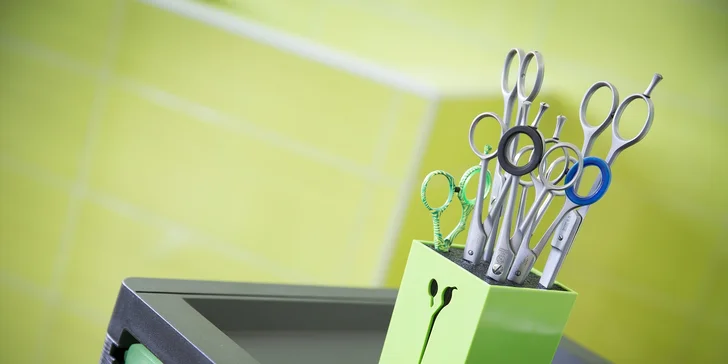 To nejlepší pro psí miláčky: wellness nebo kompletní péče vč. úpravy drápků