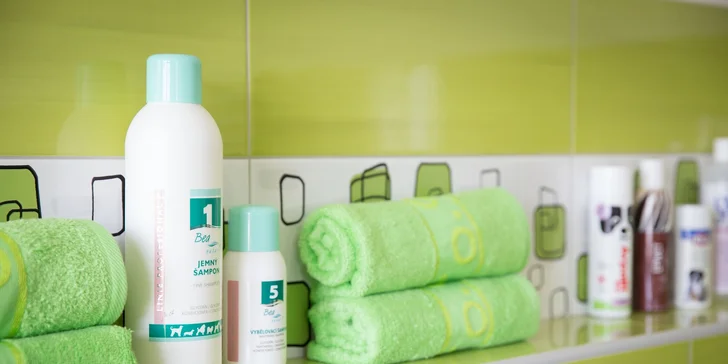 To nejlepší pro psí miláčky: wellness nebo kompletní péče vč. úpravy drápků