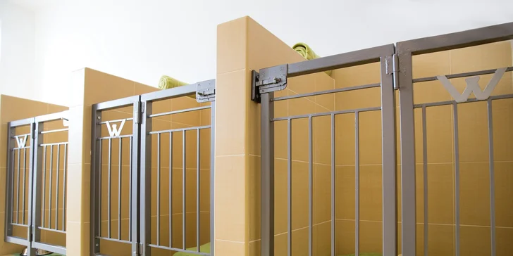 To nejlepší pro psí miláčky: wellness nebo kompletní péče vč. úpravy drápků