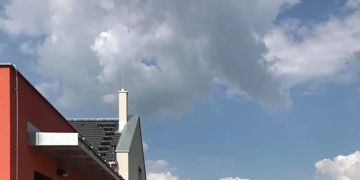 To nejlepší pro psí miláčky: wellness nebo kompletní péče vč. úpravy drápků