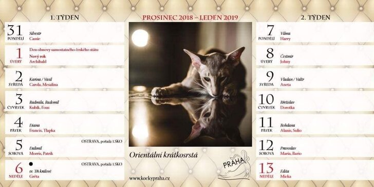 Vstupenky na výstavu koček pro dospělé i rodiny a kočičí kalendář 2019