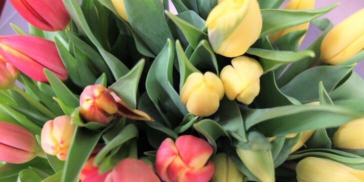 Voňavý barevný pugét holandských tulipánů na Vyšehradě