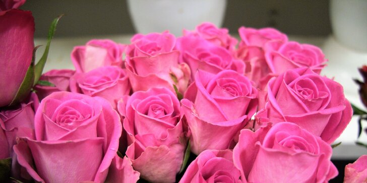 Růže každou zmůže: Darujte své milé kytici holandských růží