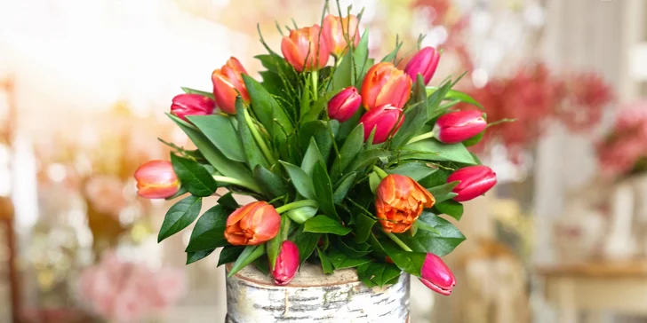 Nalaďte se na jaro: 7–25 tulipánů s okrasnou zelení z Květinového světa