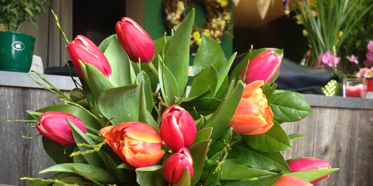 Nalaďte se na jaro: 7–25 tulipánů s okrasnou zelení z Květinového světa