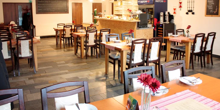 Kuřecí stripsy, vepřové řízečky, hranolky a salát coleslaw pro 2 i 4 osoby